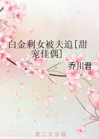 白金剩女被夫追[甜宠佳偶]